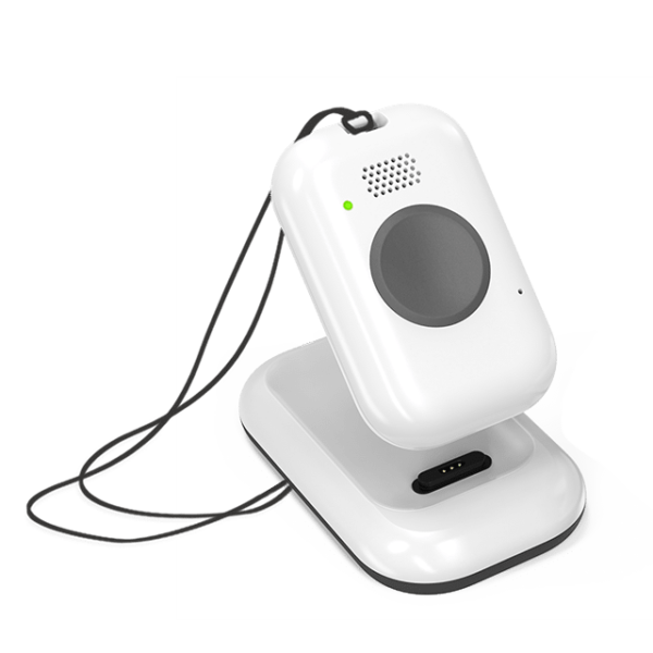 On the Go System and Charging Cradle